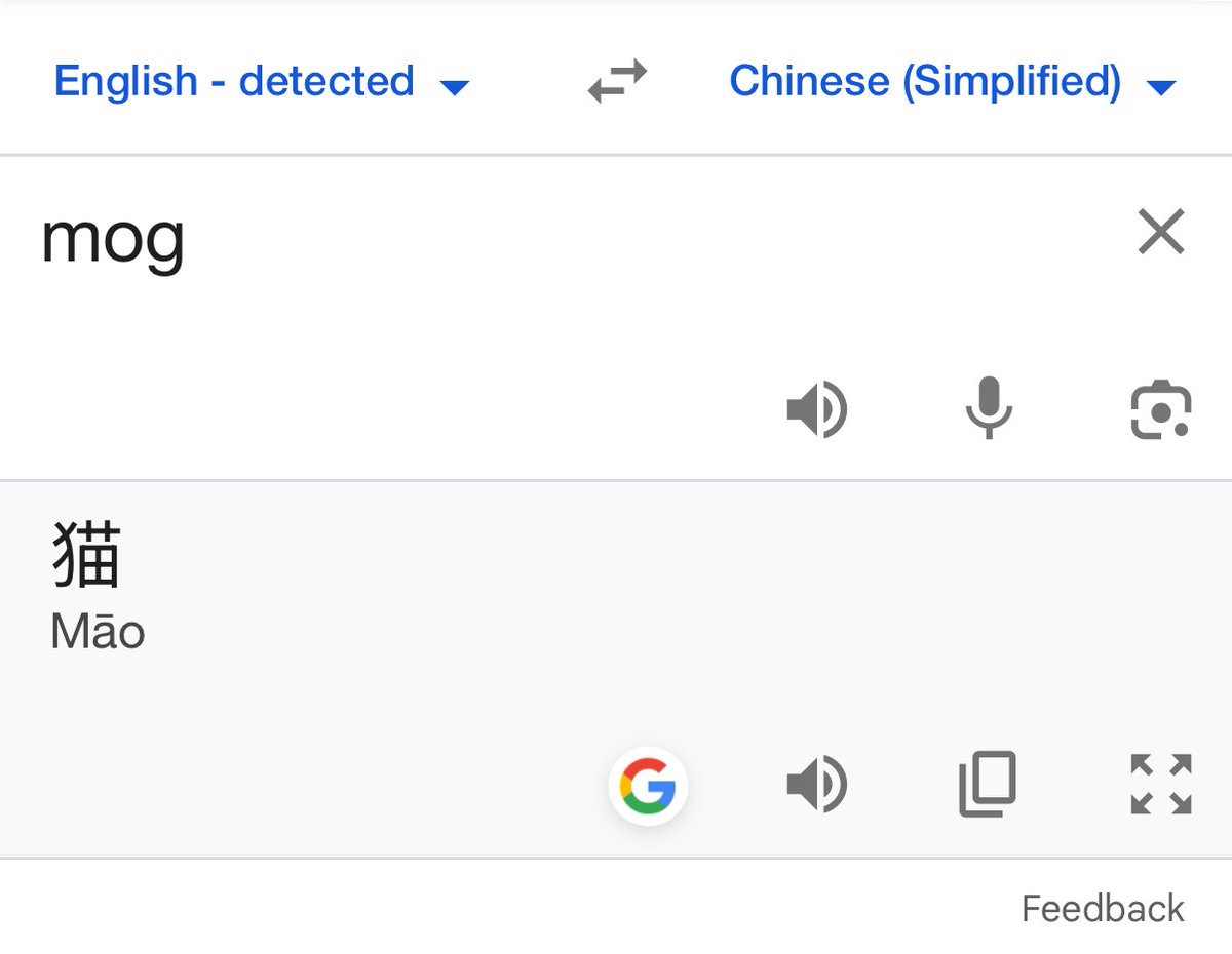 did you guys know mog in chinese means cat?