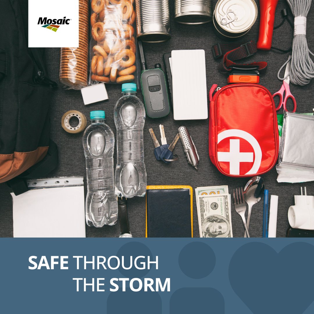 Mosaic in Florida tweet media