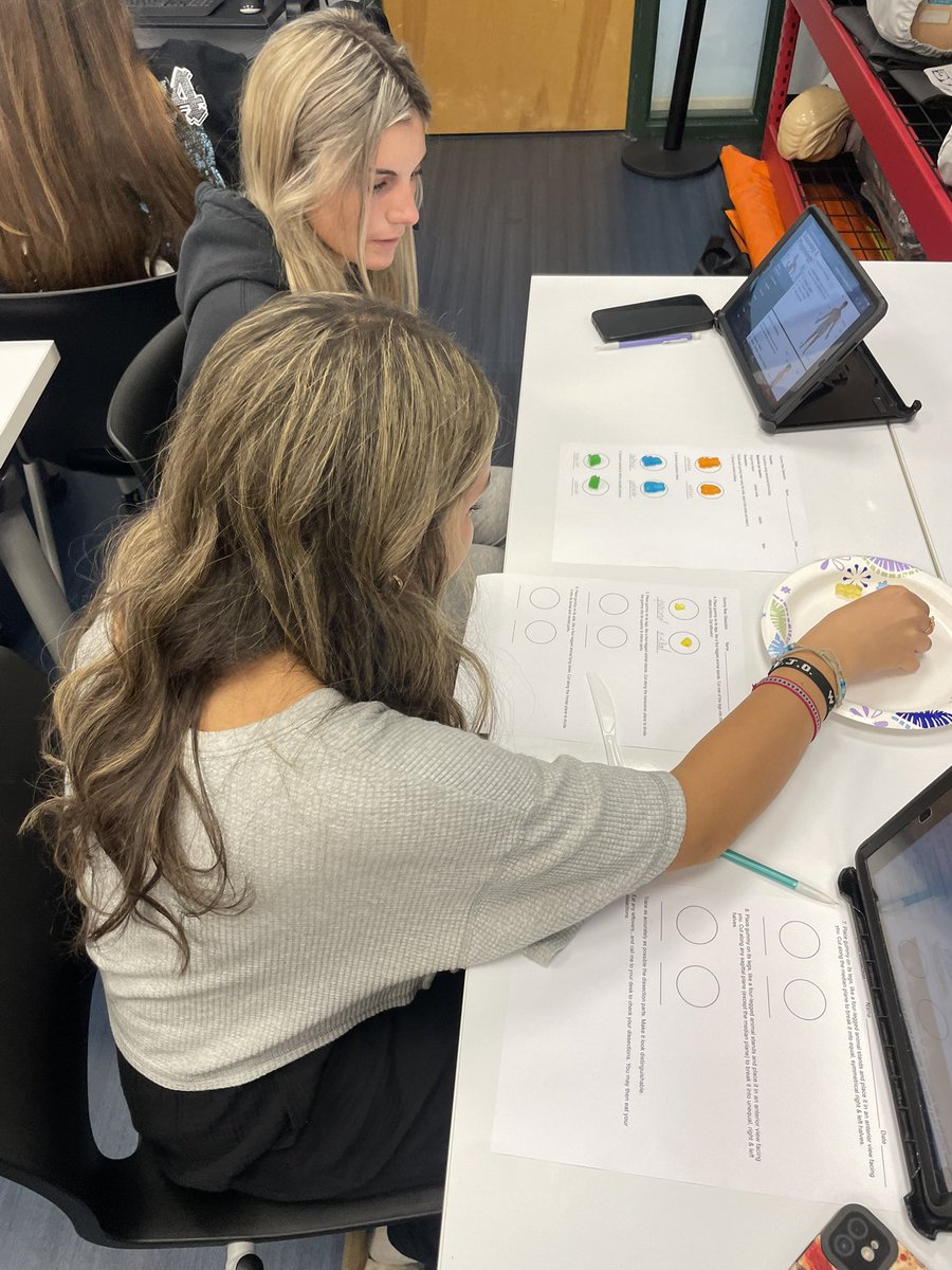 Toby Klein tweet media