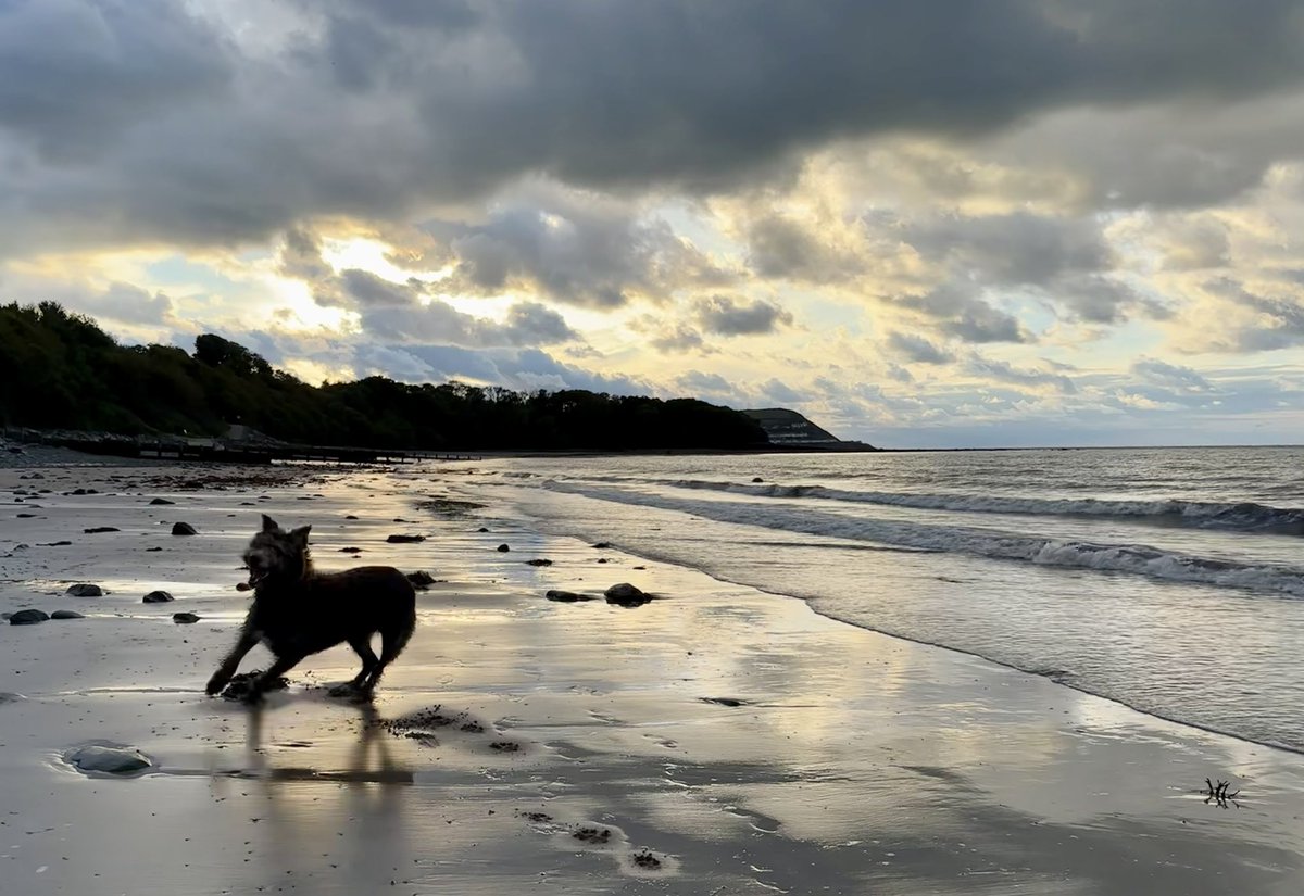 Having some lovely peace and quiet in this delightful place in #Wales