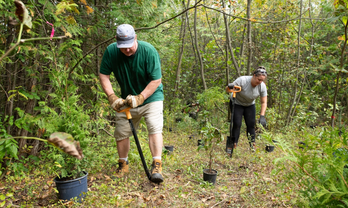 forestscanada's tweet image. This past weekend, our team kicked off #NationalForestWeek with a #CommunityPlanting at Wye Marsh in partnership with Georgian Bay Metis Council &amp;amp; @wyemarsh. It was a tree-rific day that reminded us that our role as stewards of the land is both a privilege &amp;amp; a shared commitment.