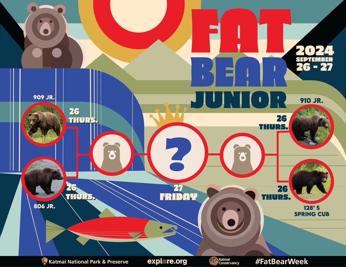 Get your brackets ready! This years Fat Bear Junior Contestants are ready for the floof throw-down