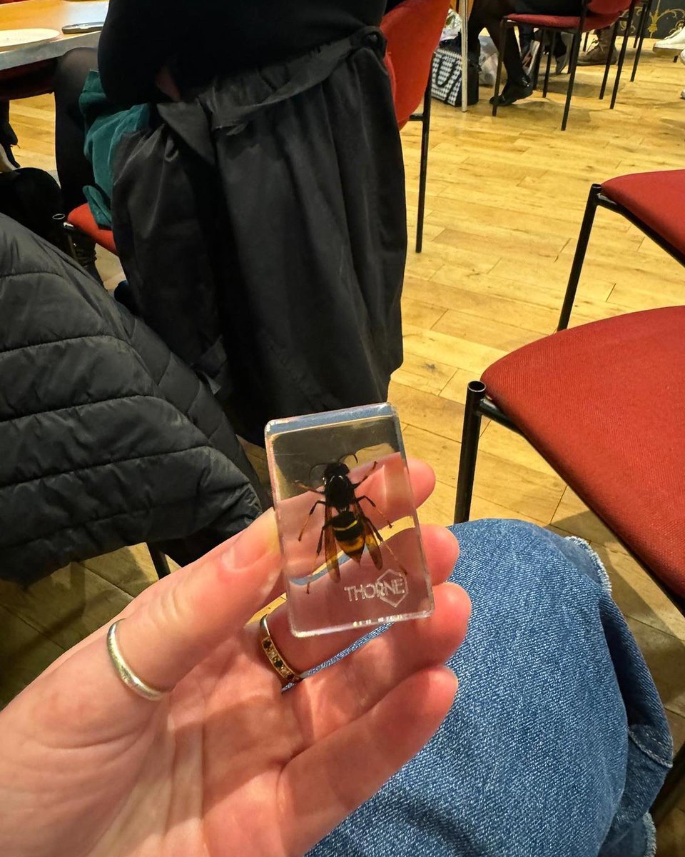 Manchester W.I tweet media