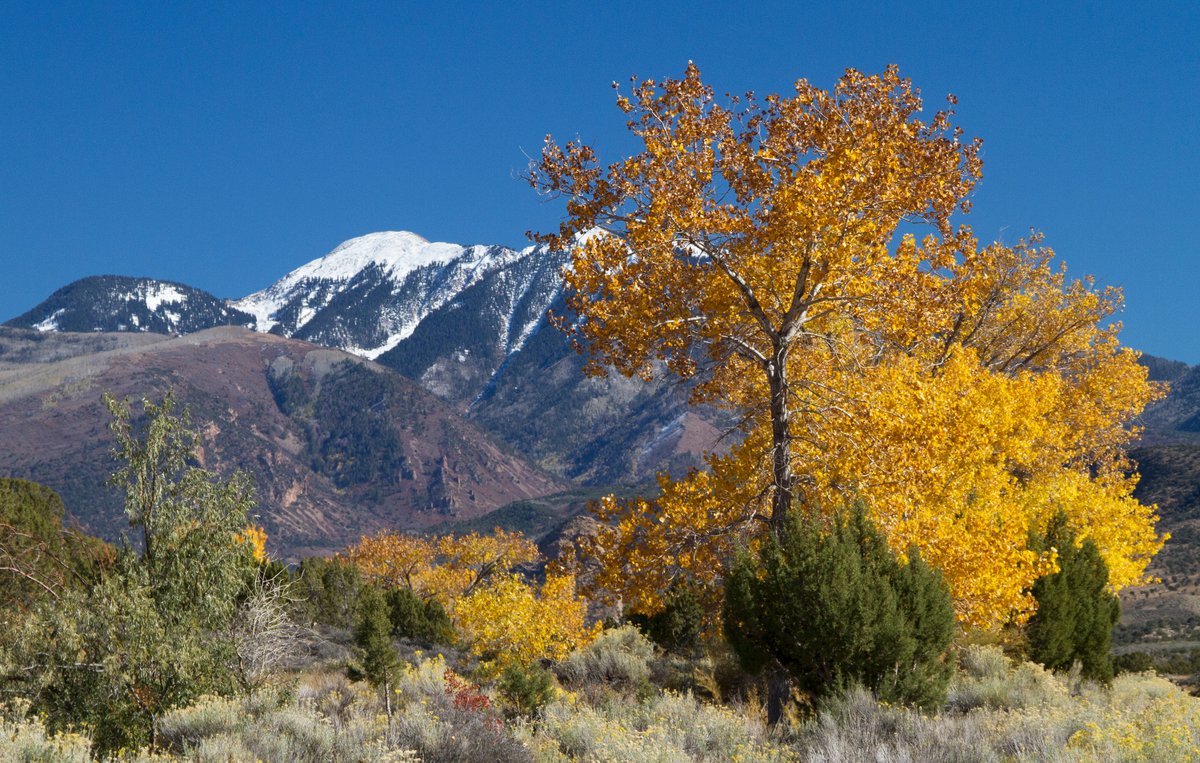 utah_moab's tweet photo. As the temperatures drop, Moab comes alive with vibrant fall colors and cooler weather. From scenic drives to epic trails, there’s no better time to visit. Secure your stay now for a memorable autumn escape.

🔗 https://t.co/TXLSZx4RXk
#FallInMoab #AutumnAdventure #StayInMoab https://t.co/Q5WbB8B5g3