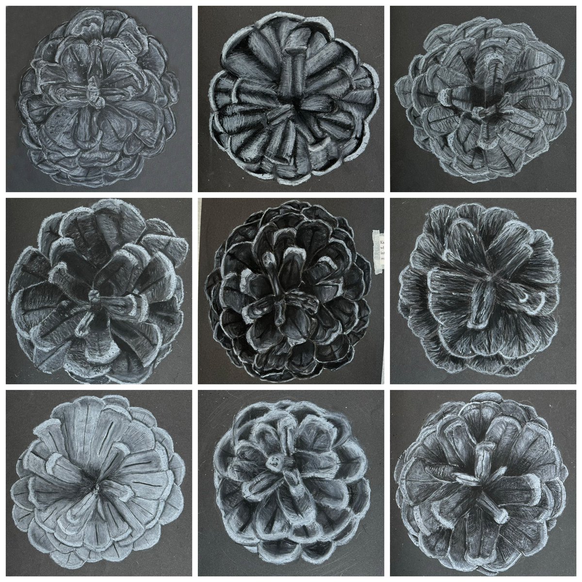 An amazing start to the year made by our #Year10 #KS4 #GCSE #Art pupils with these beautiful oil pastel pine cone drawings inspired by Karl Blossfeldt. Great work, boys! #loveteaching #proudteacher