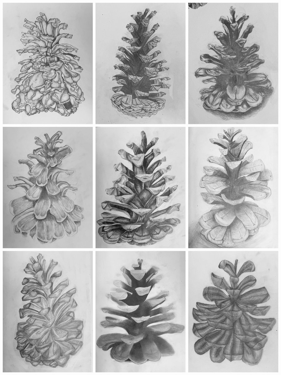 Stunning pencil pine cone drawings made by our #Year10 #KS4 #GCSE #Art pupils inspired by botanical artist, Susannah Blaxill. Beautiful work, boys! #loveteaching #proudteacher