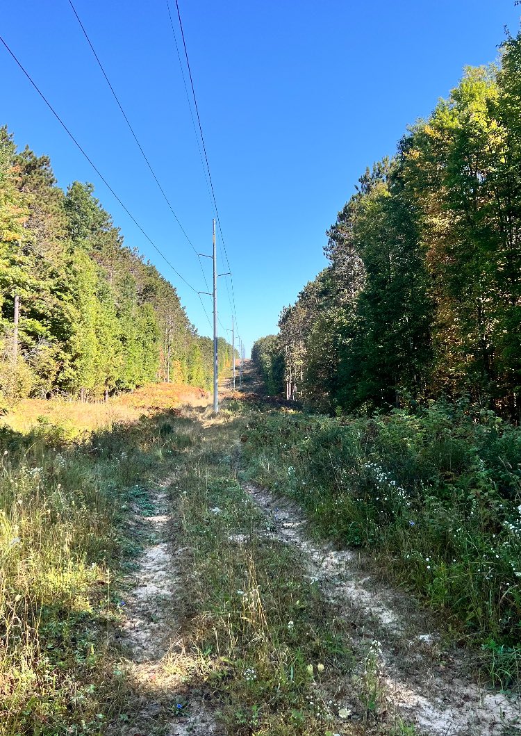 Old-school vibe trail running event in Big Rapids this Saturday.  With some bushwhacking Powerlines included.
