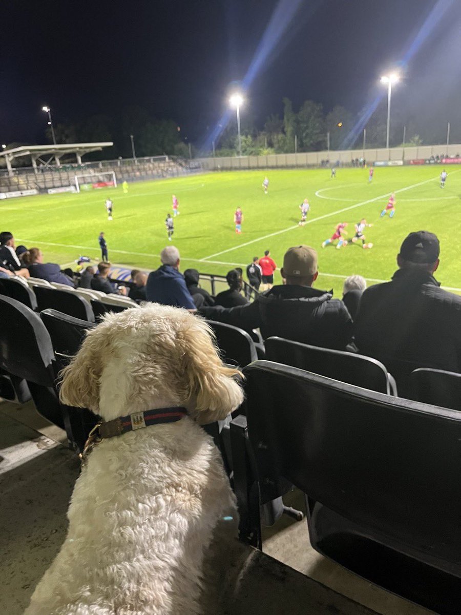 Bailey under the <a href="/OfficialTmufc/">Tooting & Mitcham United FC</a> lights 

📸 <a href="/miss_lisak/">Lisa</a>