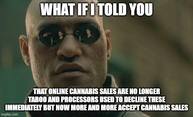DirectPayNet's tweet image. DirectPayNet supports online CBD sales... Just saying 😂