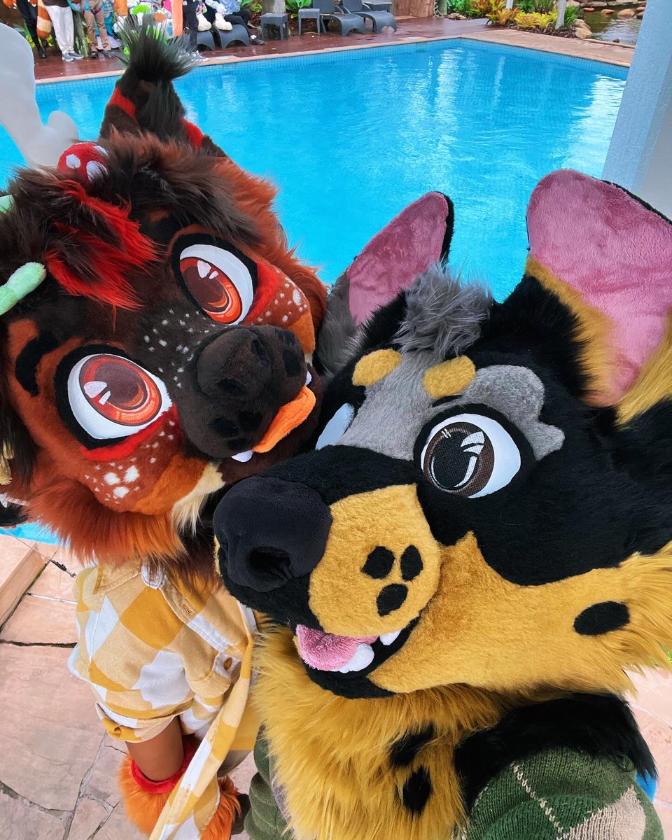 snarlykit's tweet photo. Come hangout by the poolside with us!
•
📸: @snarlykit 
✂️: @reckless.raccoon.studios &amp; @kiki_chaos_creations https://t.co/BLiuJdoter