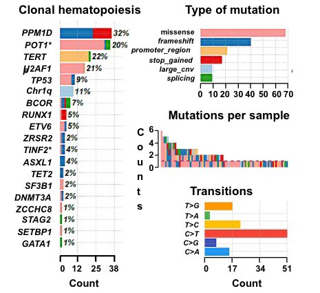 emmamgroarke's tweet image. The clonal landscape is dominated by mutations in PPM1D, POT1, TERTp and U2AF1. Patients who develop U2AF1, TP53, or chromosome 1q gain, have a higher risk of cancer development.