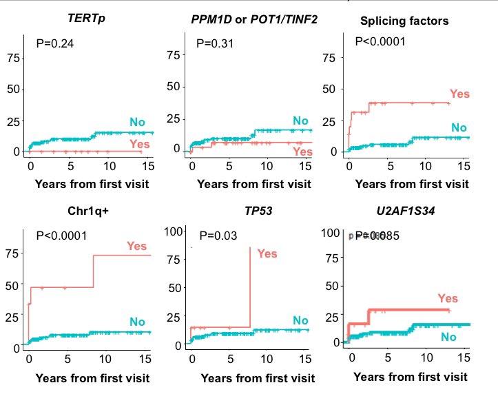 emmamgroarke's tweet image. The clonal landscape is dominated by mutations in PPM1D, POT1, TERTp and U2AF1. Patients who develop U2AF1, TP53, or chromosome 1q gain, have a higher risk of cancer development.