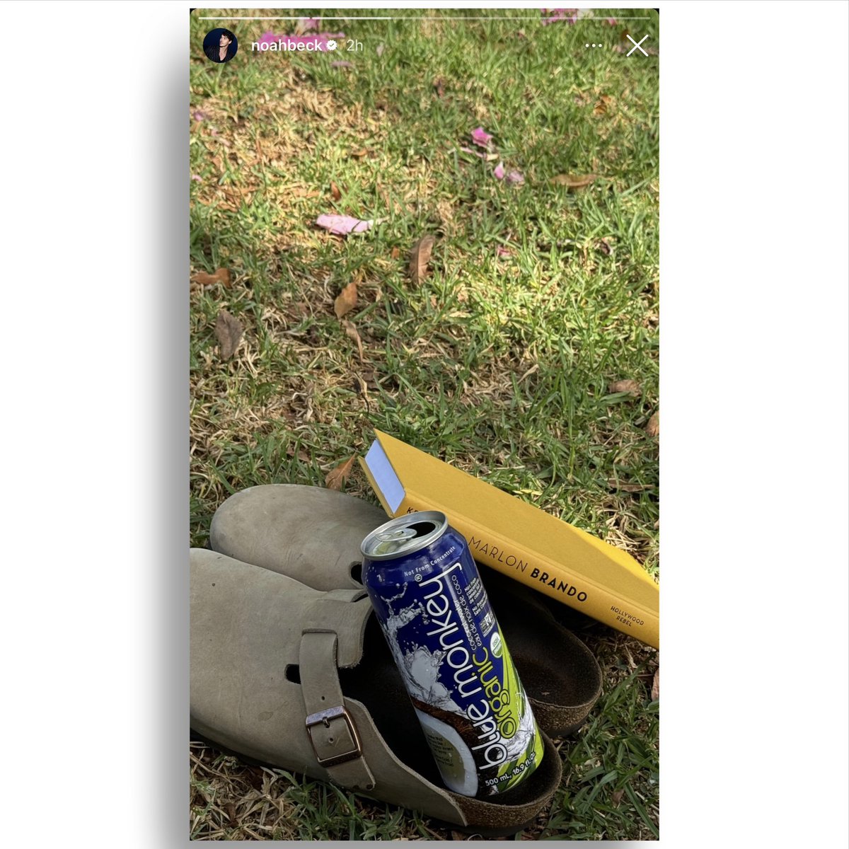 brandobook's tweet image. A tip of the hat to Noah Beck… young rebel with more followers than Johnny Strabler…