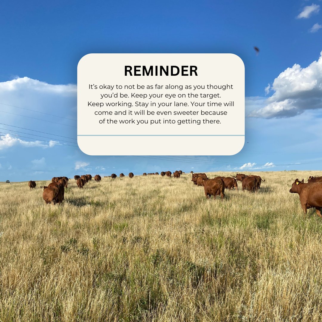 In case you forgot...

#justranchin #cattlemen #cattlewoman #womeninagriculture #podcast #cattleconvos