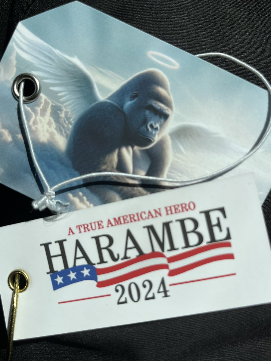 All I can say is that merch is fire.  🦍 🦍 
#Harambe