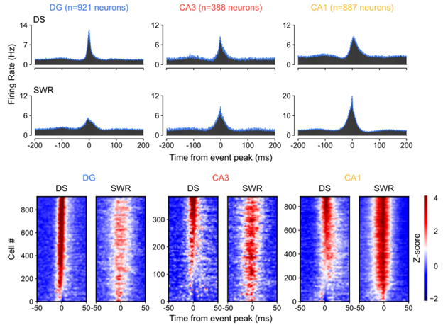 stephen mchugh tweet media
