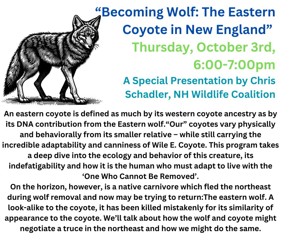 This event will be held at the Gafney Library in Sanbornville!   

Hope to see you there 🐺 

#nh #wildlife #coexist #coyotes #wolves #nhpolitcs