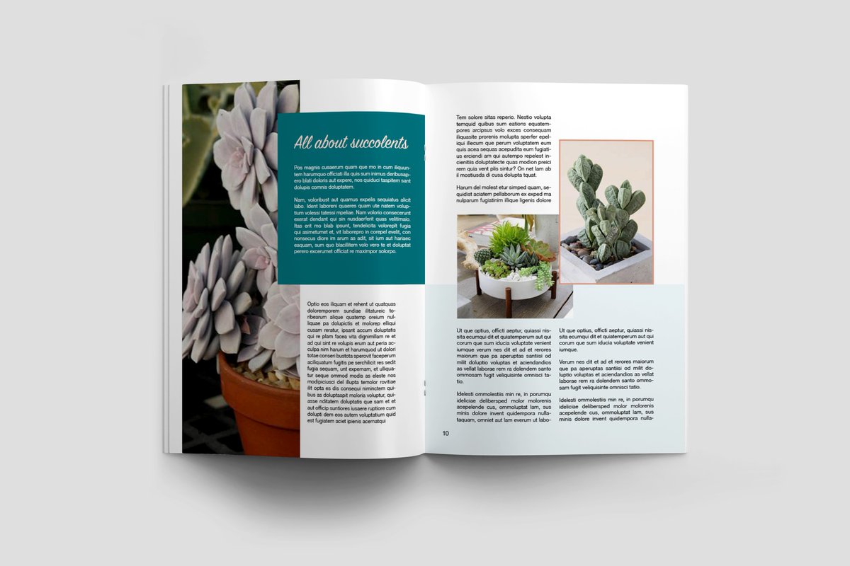 sfome66's tweet photo. Magazine design for Jungel corner 🪴 #GraphicDesign  #logo #layout #brandbook https://t.co/M6WsF8FBXM