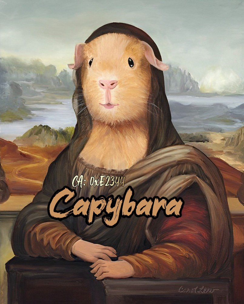 Capybara On ETH 🦫 tweet media
