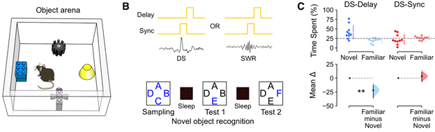 stephen mchugh tweet media