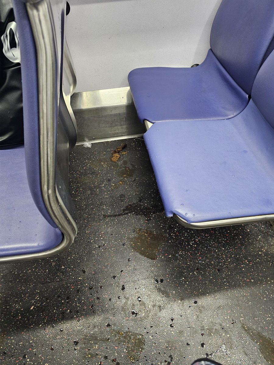 DaisyDozer's tweet photo. @wmata fecal matter on train car 7431 heading toward Maryland. https://t.co/nndh0Y7NYU