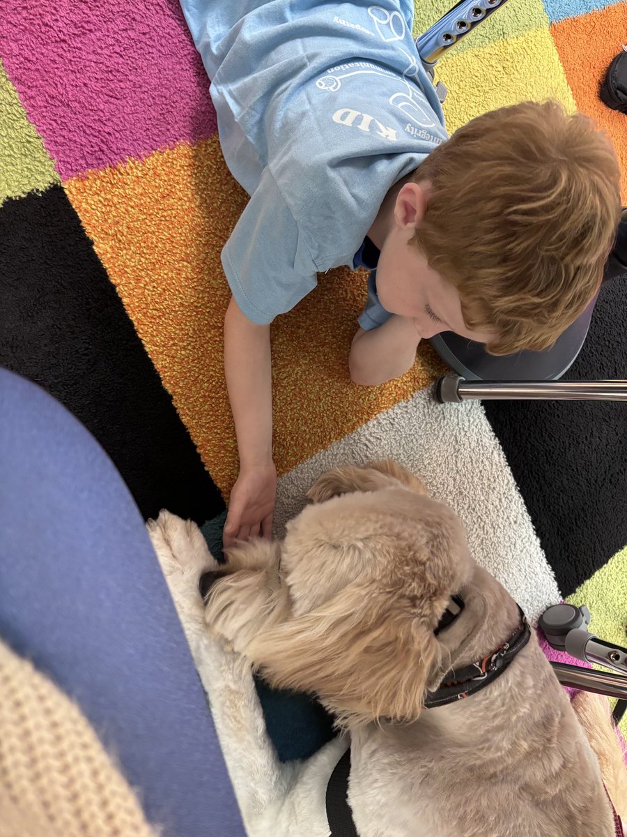 💖🐾🐶💖#gibson #shinelikesable #MASONmoment #4PawsforAbility <a href="/MrsBly_MECC/">Melissa Bly</a> <a href="/MasonSchools/">Mason City Schools</a>