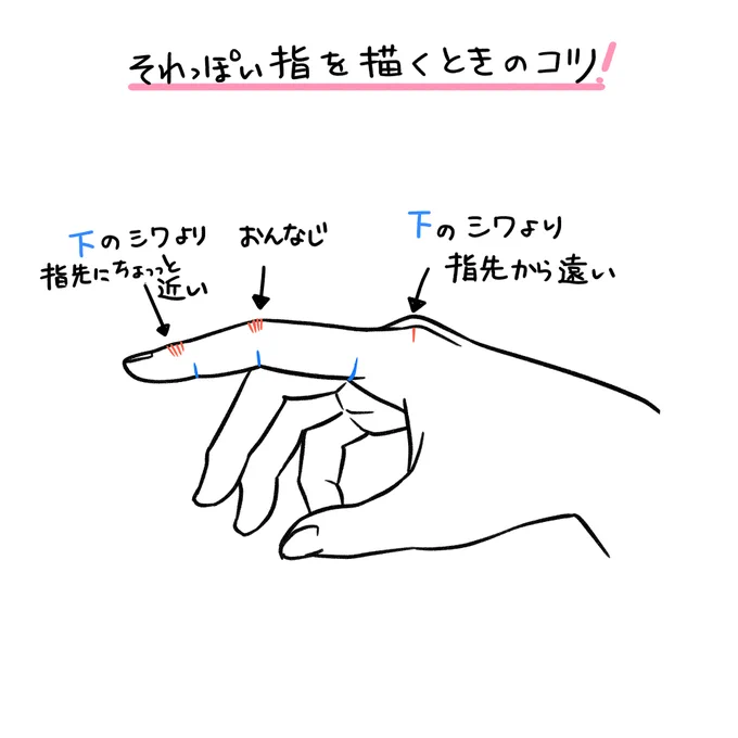 指を描くときに意識するガイド線はこれ✍️

#イラストアカデミア 