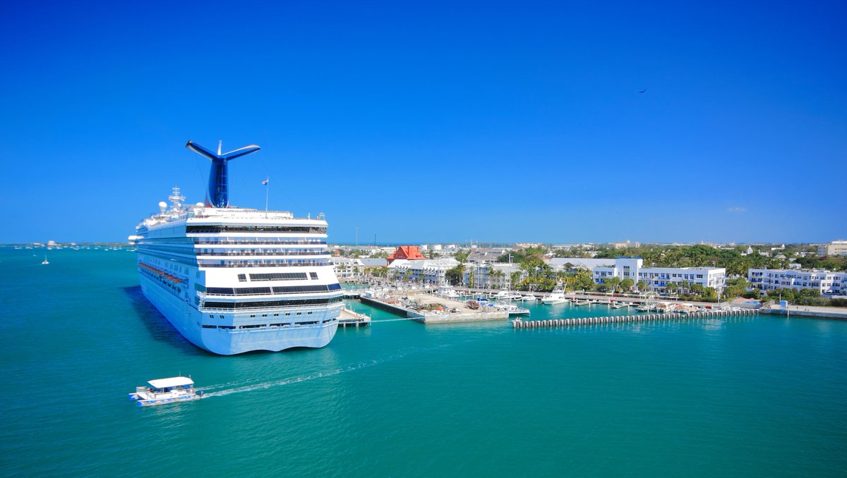 Key West Aloe tweet media