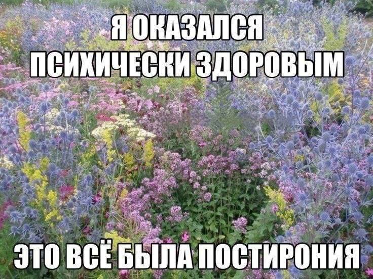 к а р а м б о л а (@havenvill) on Twitter photo 