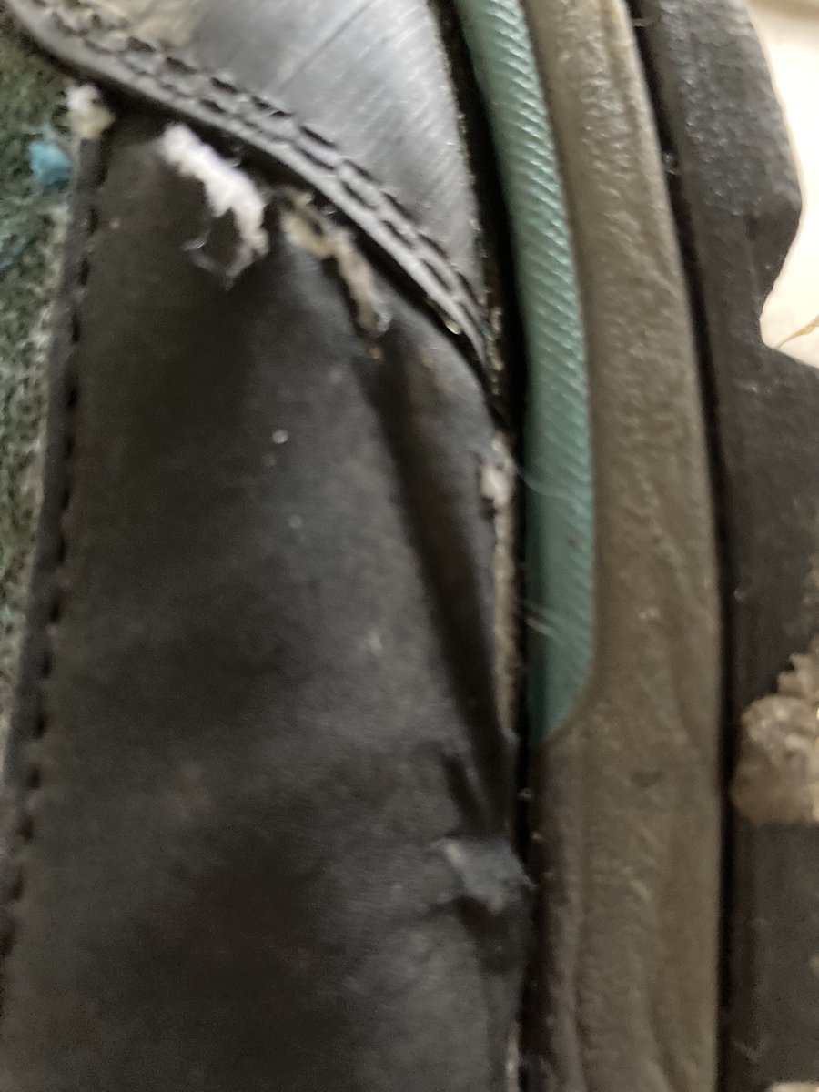 Allie Bee (@alliebee_comms) on Twitter photo 🤞my next pair of walking boots last longer than these <a href="/Karrimor_CS/">Karrimor_CS</a> Hot Rocks. Bought Nov 2023, getting soaking wet feet by June 24, splitting by Aug 24 #wasteofmoney ☹️ 🤞my next pair of walking boots last longer than these <a href="/Karrimor_CS/">Karrimor_CS</a> Hot Rocks. Bought Nov 2023, getting soaking wet feet by June 24, splitting by Aug 24 #wasteofmoney ☹️