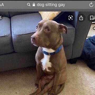 anyways oomfs who i haven’t talked to in over a year… how are yall doing…?