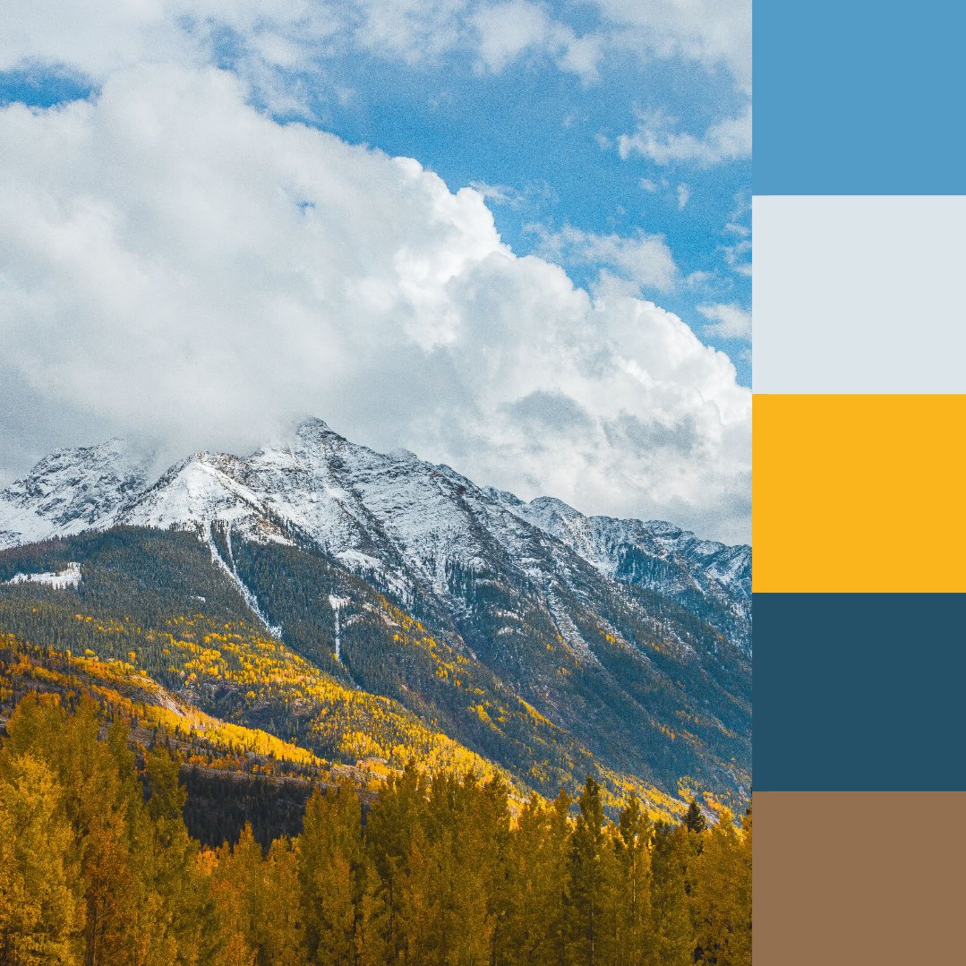 Which fall National Forest color palette are you?

🎨 Pike-San Isabel National Forest shot by Charles Hodgkins
🎨 Monongahela National Forest shot by Brandon Adkins
🎨 Kaibab National Forest shot by the <a href="/forestservice/">USDA Forest Service</a> 
🎨 San Juan National Forest shot by Ryan Nott
