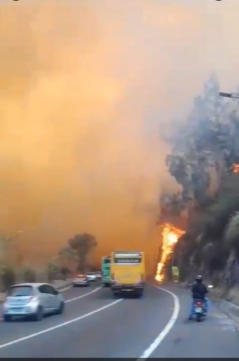 janethinostroza's tweet photo. . 

Las llamas están fuera de control. 

La ciudad cubierta de humo. 

Quito es un infierno. 

Qué indignación. Qué tristeza. 

#SimónBolívar https://t.co/T2GWgxcwFz