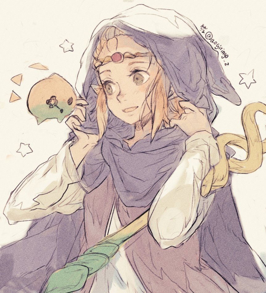 aogiringo_z's tweet image. 知恵かりひめさまrkgk。
スカウォクリアしてからのプレイになりますが楽しみです。
#EchoesofWisdom