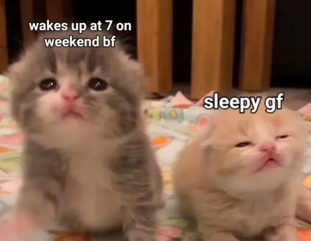 Catsillyness's tweet photo. Us https://t.co/JA0EEBzGXP
