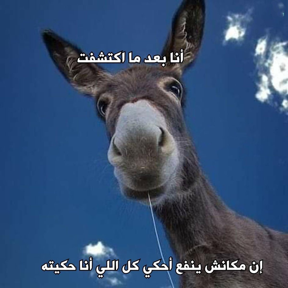 ‏أي حاجة | كود نايس ون AH88 (@toonzatt) on Twitter photo 