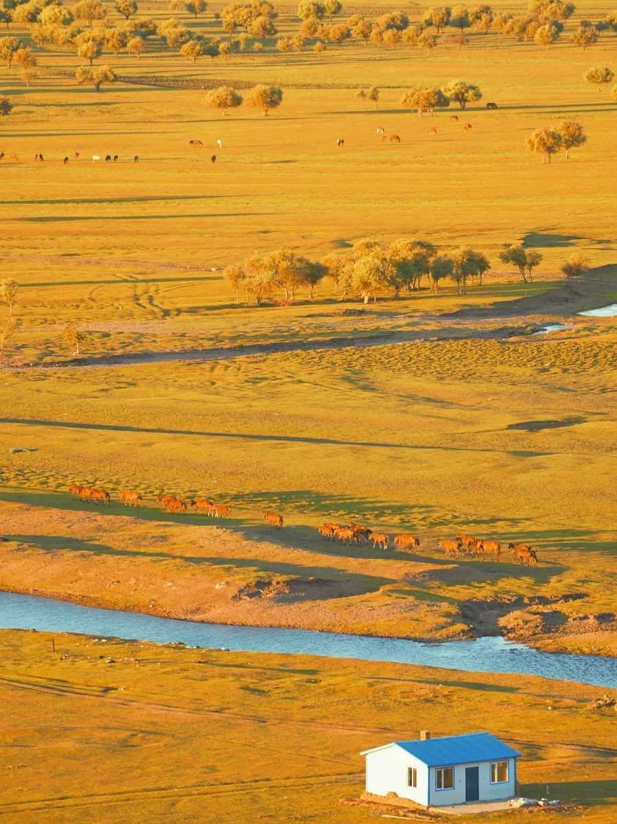 道を導くのは貴人に頼って、歩くのは自分に頼って、成長するのは経験に頼って、忍耐強くて、運の良い少しの時間をあげます。