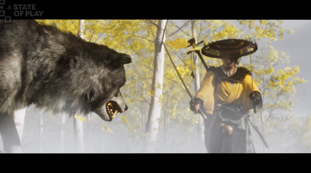 Upcoming Sucker Punch game.