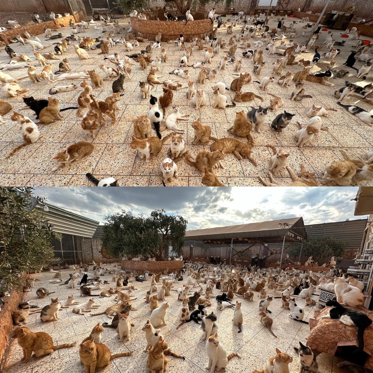 We need to update you that the current situation is definitely worsening.
We are sorry to have to share with you that it looks like war is now very near.
We are working very hard to source  and stockpile food, medicines and supplies.
Thank you to everyone who has donated in the