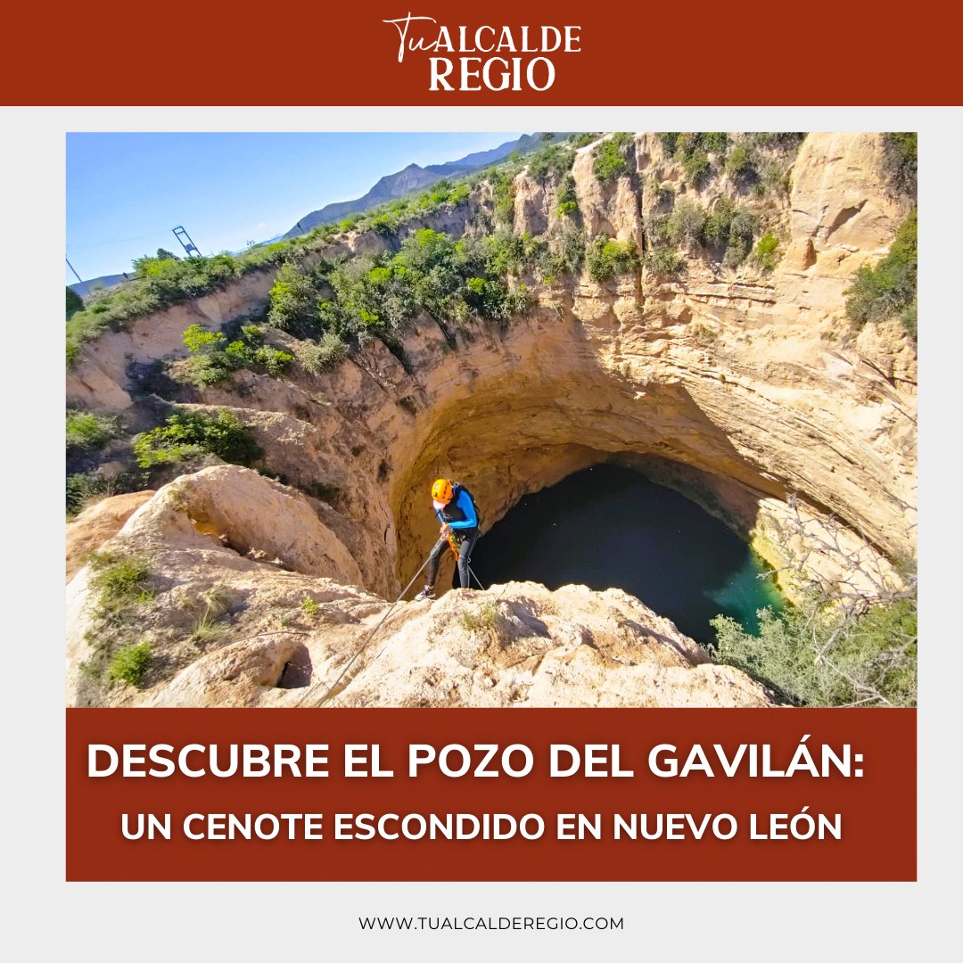 AlcaldeRegio's tweet photo. 🌊✨ ¡Descubre el Pozo del Gavilán! Este cenote oculto en Nuevo León es un paraíso para los aventureros. 🏞️ Con su asombrosa belleza natural, es perfecto para actividades extremas y fotografía. ¡No te lo pierdas! https://t.co/RPgYt0L63I