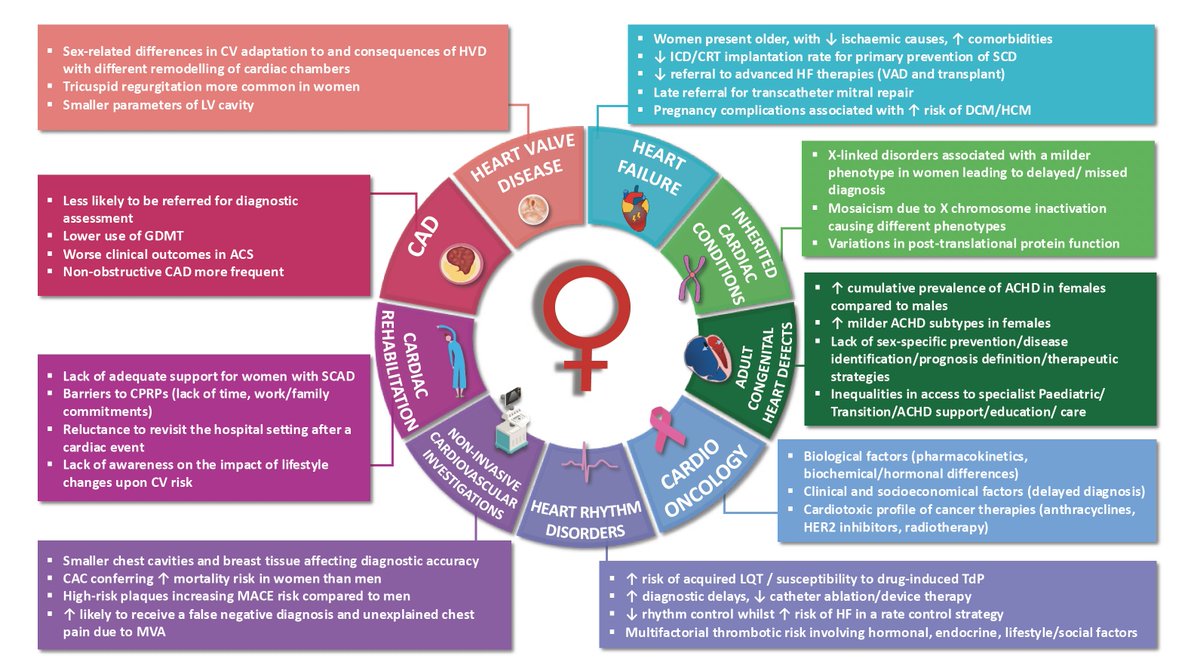 Eric Topol (@erictopol) on Twitter photo A consensus statement on women and cardiovascular disease, the #1 cause of death in women globally, yet still is under-diagnosed and under-treated
heart.bmj.com/content/early/… open-access <a href="/Heart_BMJ/">Heart_BMJ</a> <a href="/VijayKunadian/">Professor Vijay Kunadian</a> <a href="/BritishCardioSo/">British Cardiovascular Society</a> A consensus statement on women and cardiovascular disease, the #1 cause of death in women globally, yet still is under-diagnosed and under-treated
heart.bmj.com/content/early/… open-access <a href="/Heart_BMJ/">Heart_BMJ</a> <a href="/VijayKunadian/">Professor Vijay Kunadian</a> <a href="/BritishCardioSo/">British Cardiovascular Society</a>