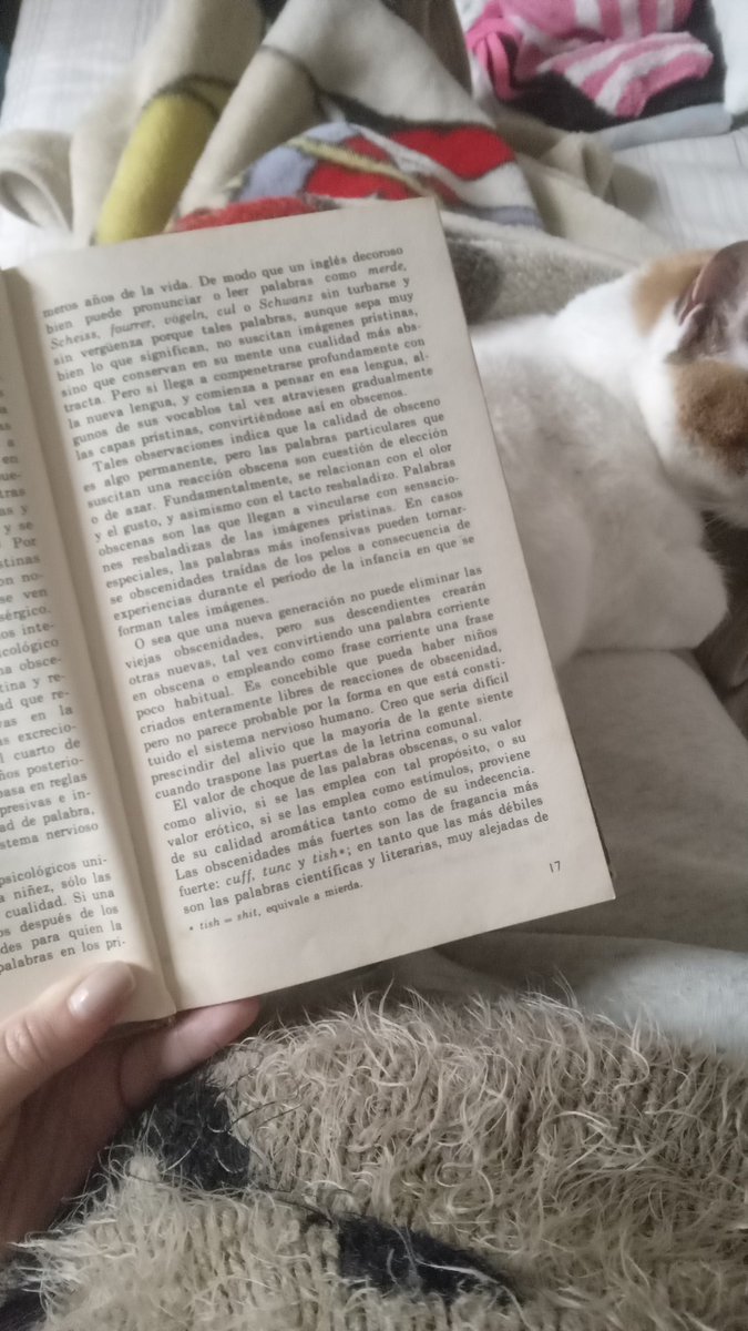 YMary06's tweet photo. #FelizMartesATodos #HacerElAmor📖
#EricBerne #libros #cats https://t.co/NJ9RrSZ5qd