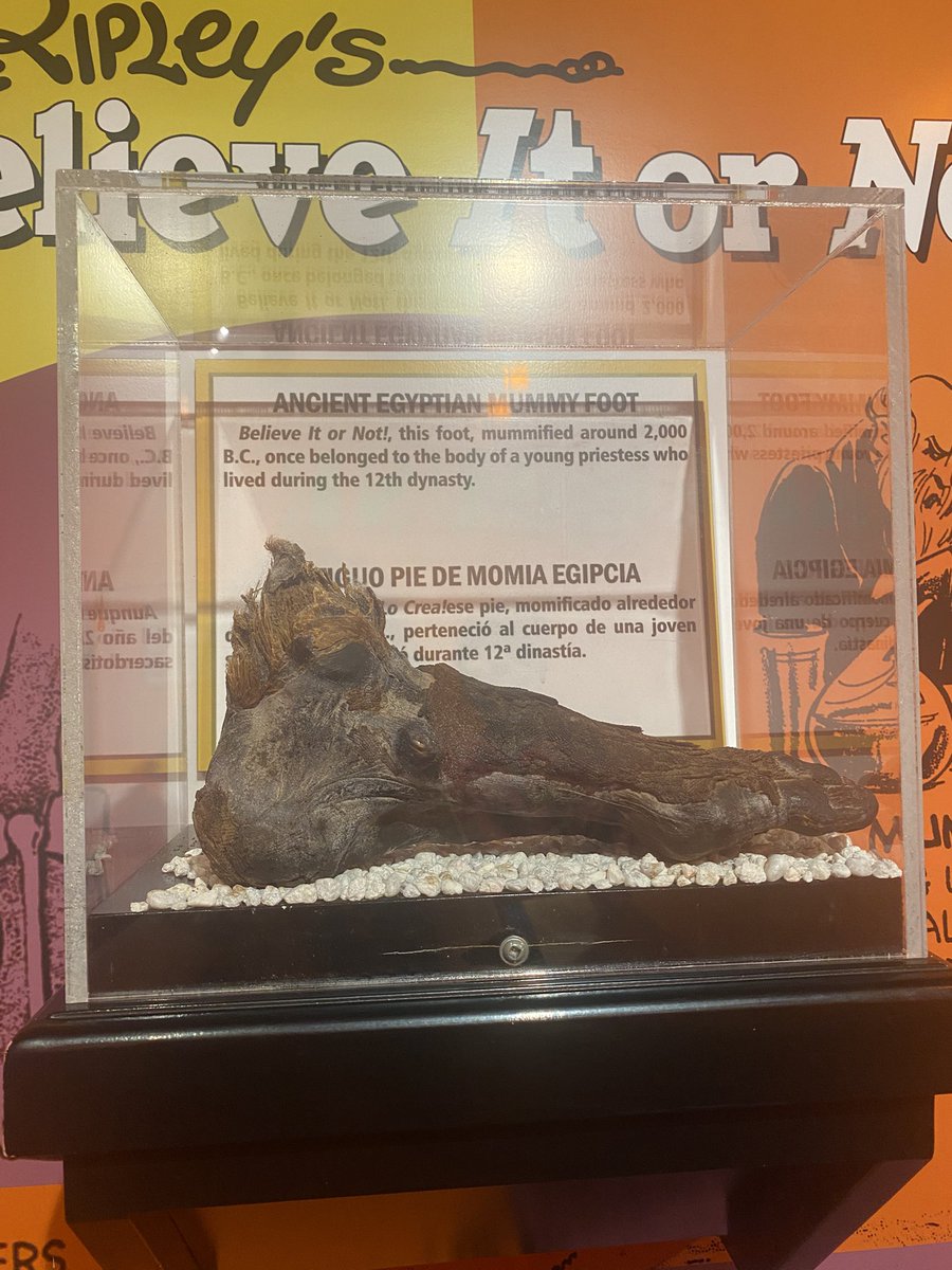 wirechick's tweet image. Recognise this @Zak_Bagans. We have just been to ripleys believe it or not in Hollywood. I saw this and thought of you