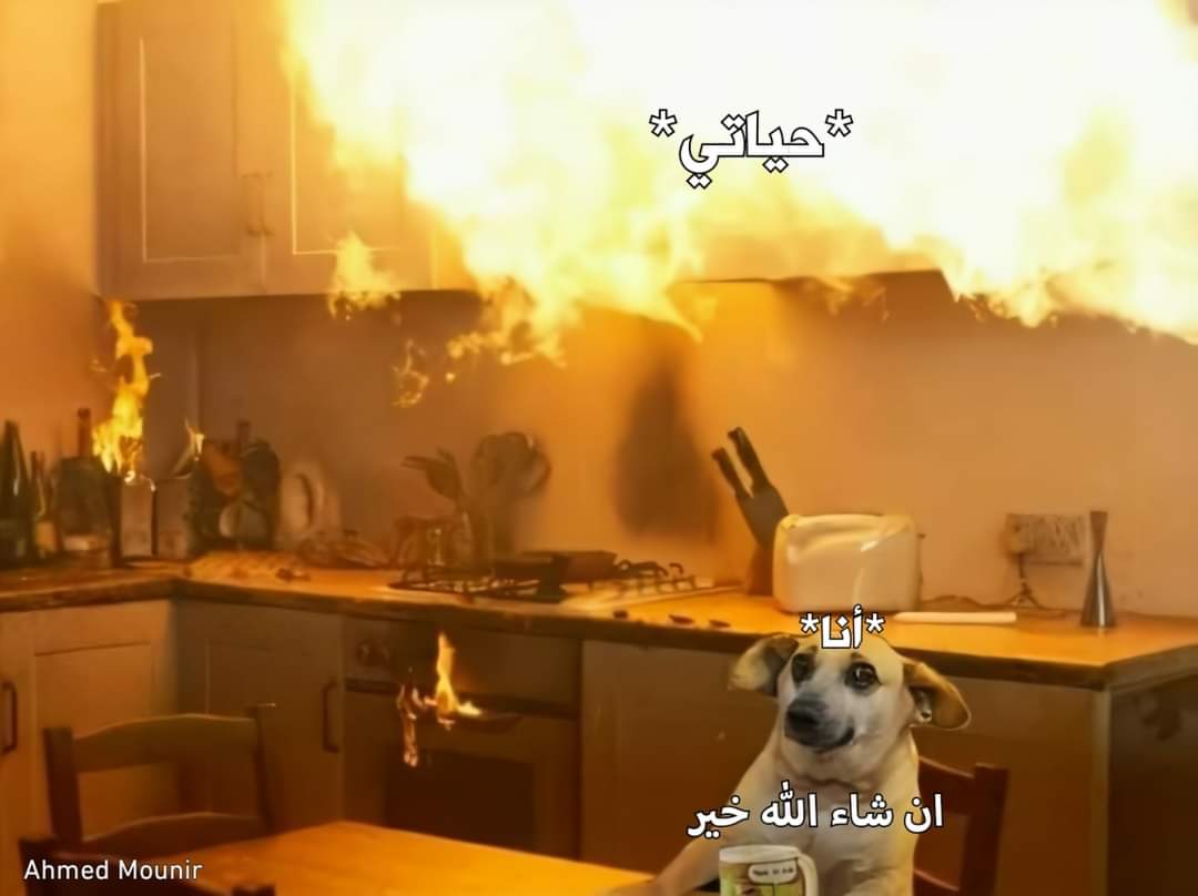 True Memes (@truememes_) on Twitter photo 