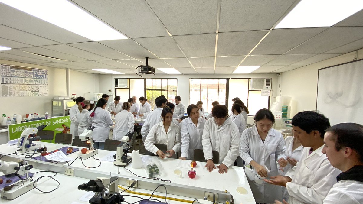 Hoy estudiantes de 2º año de Agronomía <a href="/agrariasutalca/">Ciencias Agrarias UTalca</a> de la Universidad de Talca <a href="/UTalca/">Universidad de Talca</a>, aprenden sobre organismos causantes de enfermedades, síntomas y signos. Unidad 2: Microorganismos Fitopatógenos, #Fitopatologia #Phytopatology