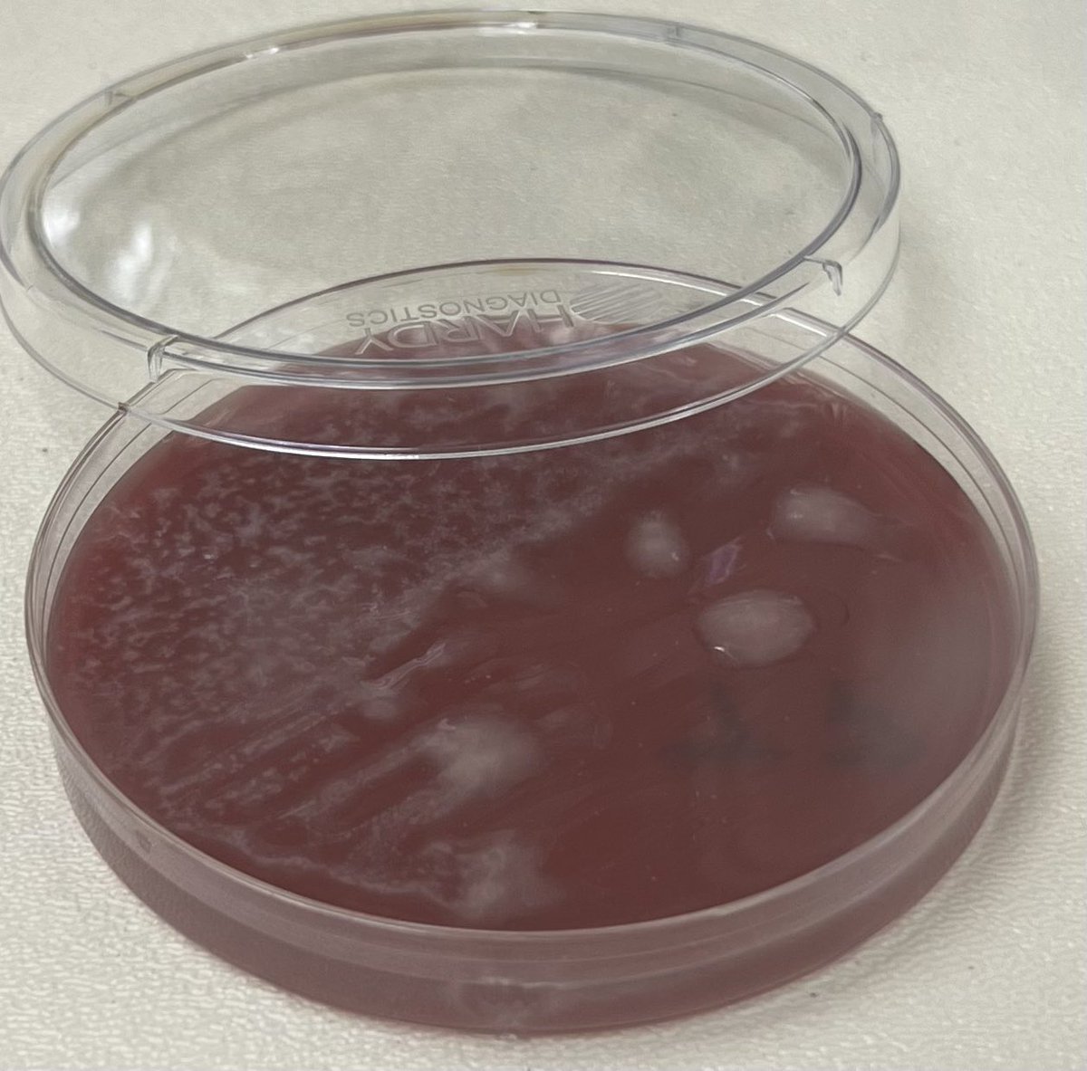 Sam Miller, Ph.D. tweet media