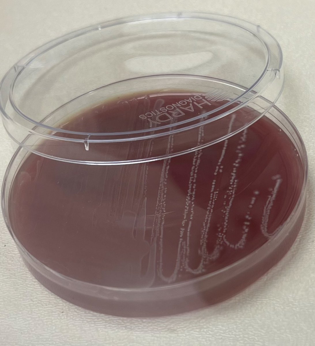 Sam Miller, Ph.D. tweet media