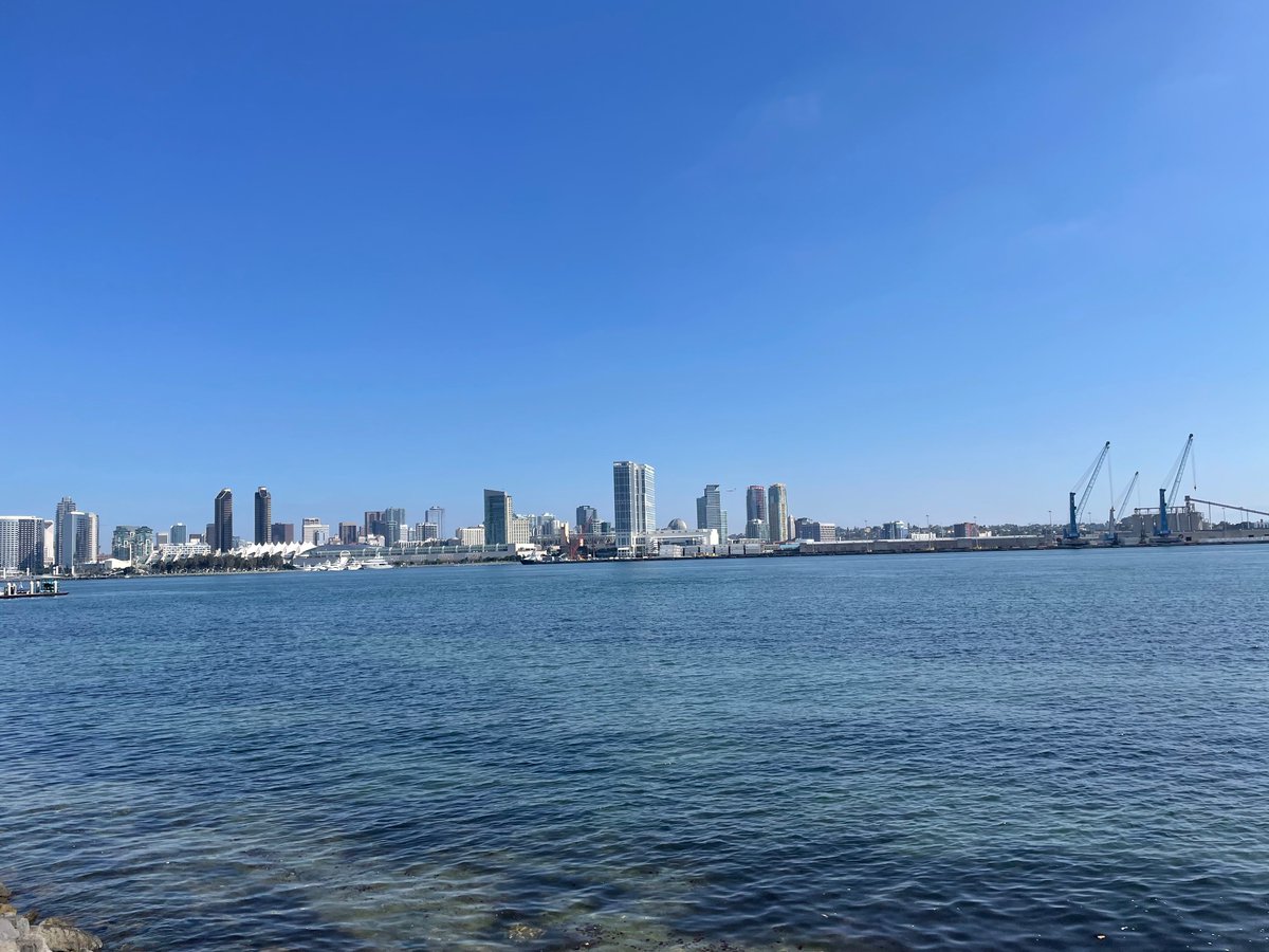 pranavgarimella's tweet photo. Beautiful day this past Sunday in #sandiego for the @PKDFoundation @PKDFSanDiego Annual #WalkforPkD

Thank you to the great turnout of physicians, nurses, researchers to support the community and fundraise to #endPKD

@ucsdnephrology @UCSDHealth https://t.co/vQPGh6abov