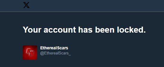 EtherealZoneTv's tweet photo. . @amustycow not me getting account locked for dming to join the content creator tournament https://t.co/JdIQyuazha