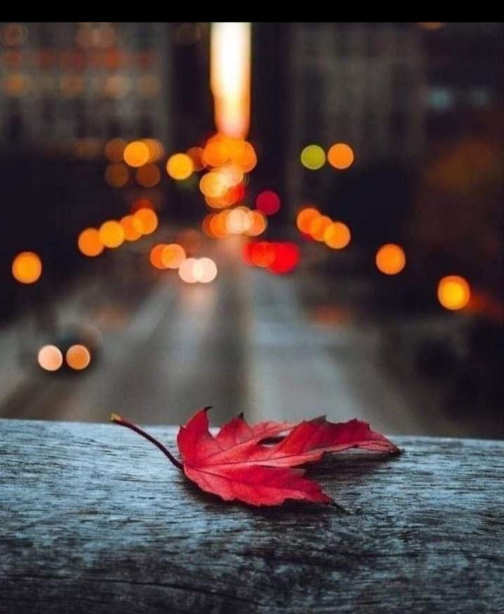 ازمائش بہت سے نقاب الٹ دیتی ہے کہیں پارسائی کا ، کہیں صبر کا ، کہیں انسانی ہمدردی کا اور کہیں اخلاق کا __
اور کھوٹے کو کھرے سے الگ کرنے کا قدرت کا آزمودہ طریقہ یہی ہے ۔۔۔!!!
🥀🍂🥀